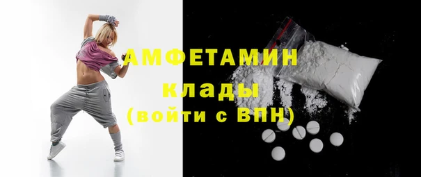 ПСИЛОЦИБИНОВЫЕ ГРИБЫ Балабаново