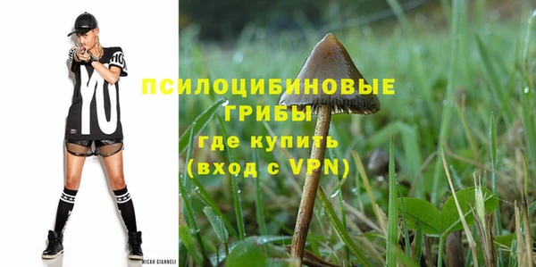 ПСИЛОЦИБИНОВЫЕ ГРИБЫ Балабаново