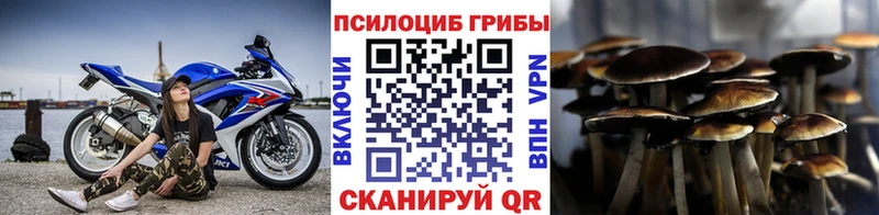 наркошоп  Кушва  Галлюциногенные грибы Psilocybine cubensis 