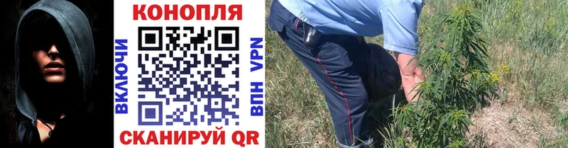 Бошки Шишки ГИДРОПОН  Кушва 
